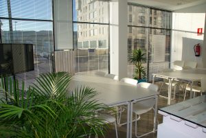 An office common area with a TV in the corner and plotted plants throughout the room