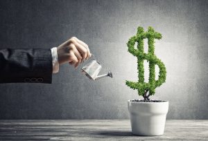 Hand of businessman holding a small watering can over a small potted tree that is in the shape of a dollar sign